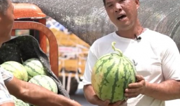 乌拉吃瓜爆料是真的吗,真相揭秘，是真是假？