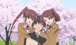 亲吻姐姐动漫,揭秘亲吻姐姐中的青春爱情故事